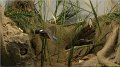 chateaudun120229_073 Musee